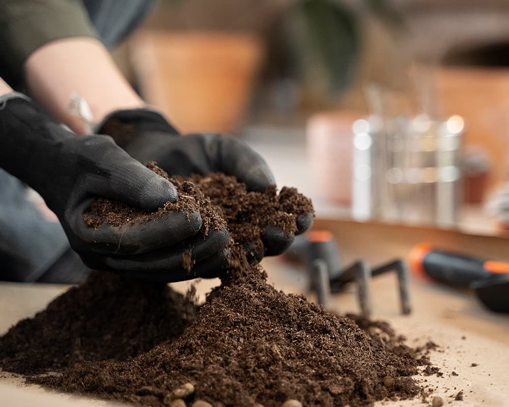 الاختبارات الحقلية للتربة